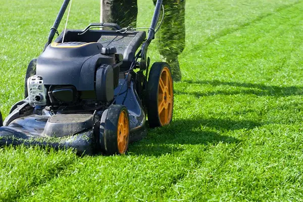 Lawn Mowing